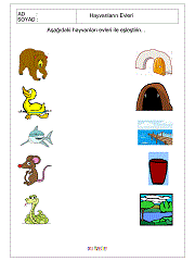 Hayvanlar Nerede Yaşarlar